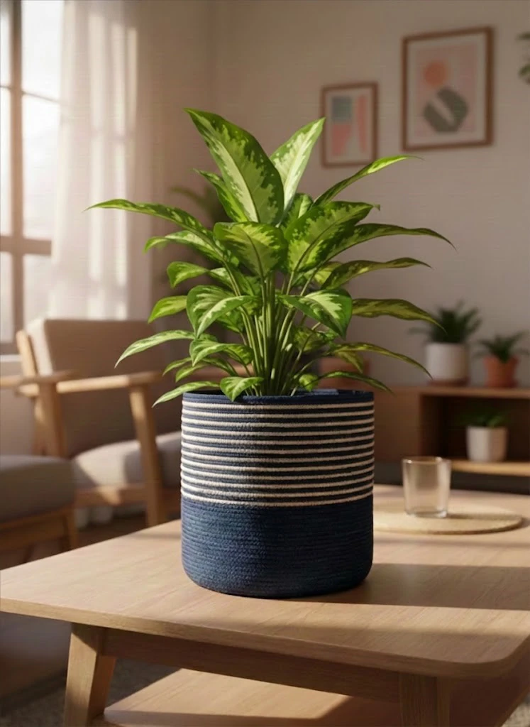 Planter 7